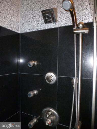 2604 Summerson Road Baltimore, MD 21209 - Photo 16 of 20 Multiple Shower Heads