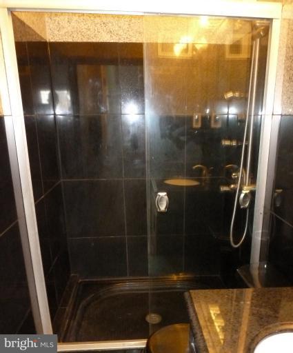2604 Summerson Road Baltimore, MD 21209 - Photo 10 of 20 Shower Stall
