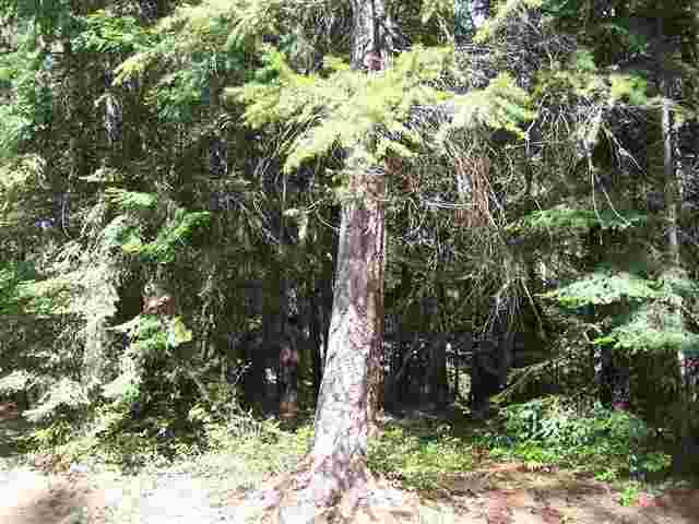 241 Robarge Road North Metaline Falls, WA 99153 - Photo 18 of 18