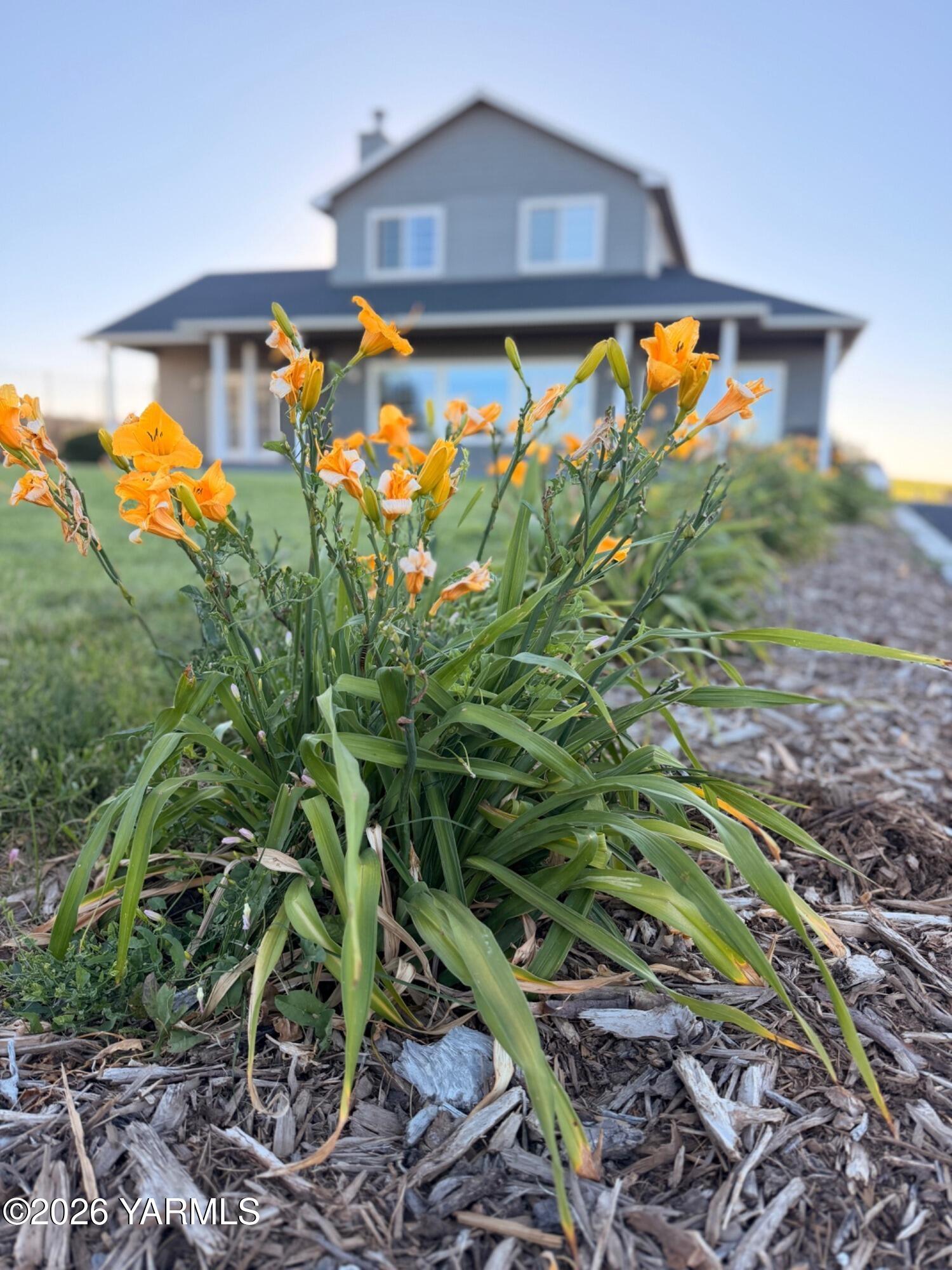 5060 Lombard Loop Road Zillah, WA 98953 - Photo 56 of 56 IMG_0455