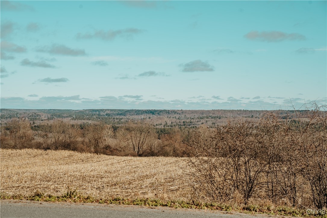 Lot 4 East Road Port Leyden, NY 13433 - Photo 2 of 8