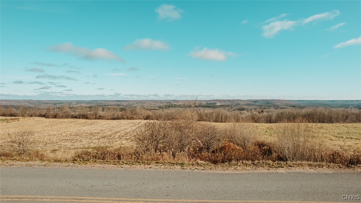 Lot 4 East Road Port Leyden, NY 13433 - Photo 3 of 8