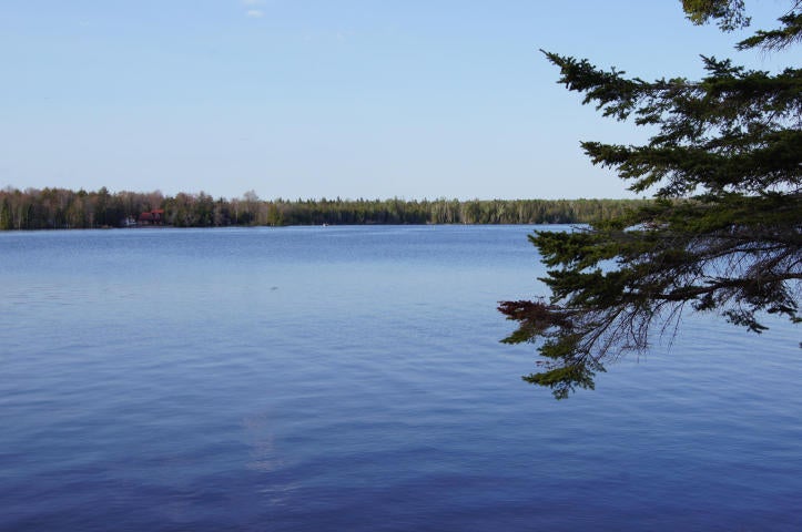 Knowles Road Moran, MI 49760 - Photo 7 of 7 Gallery Image 7