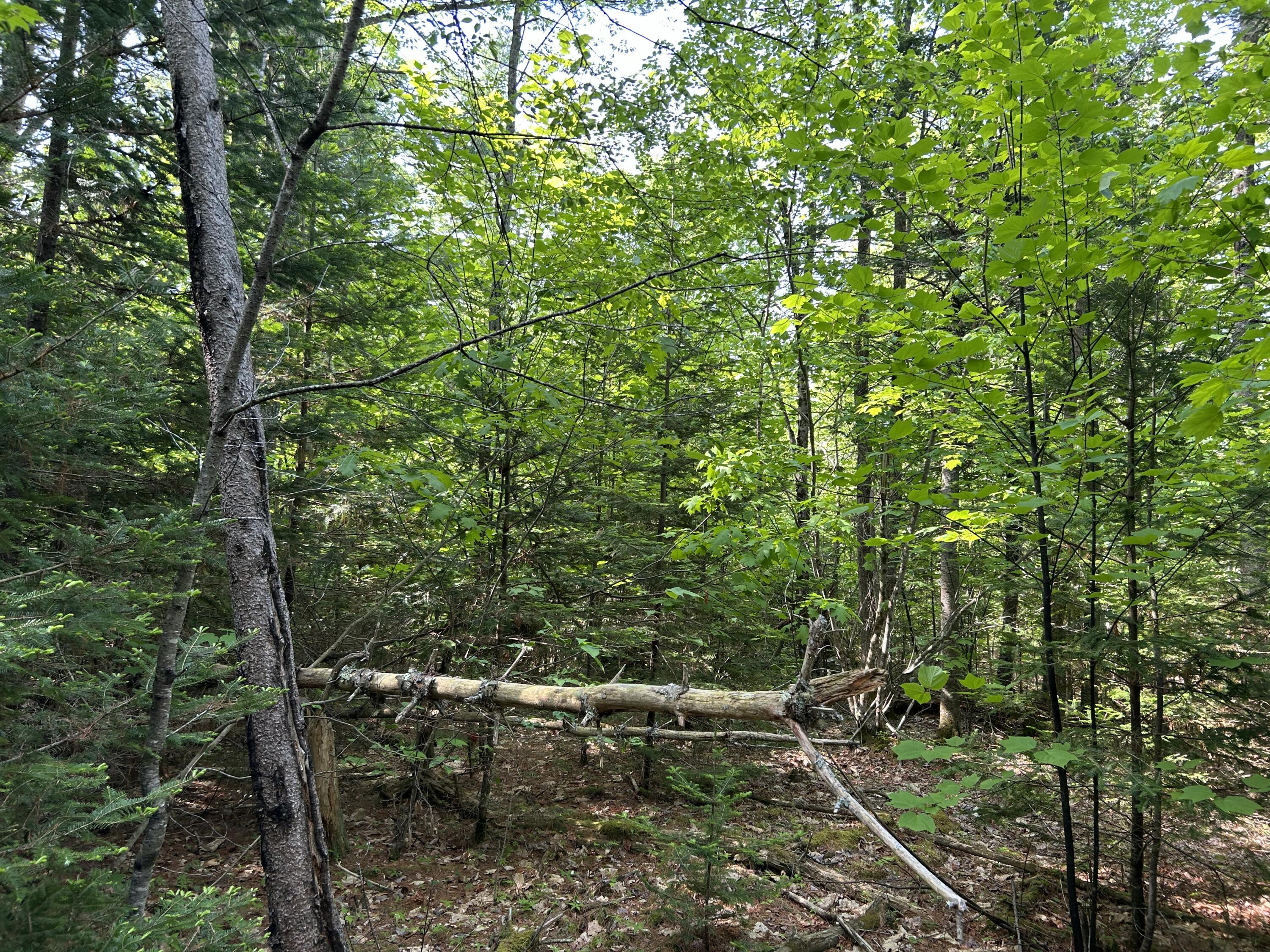 M5-l13 Clark Road Prospect, ME 04981 - Photo 31 of 33 IMG_8797