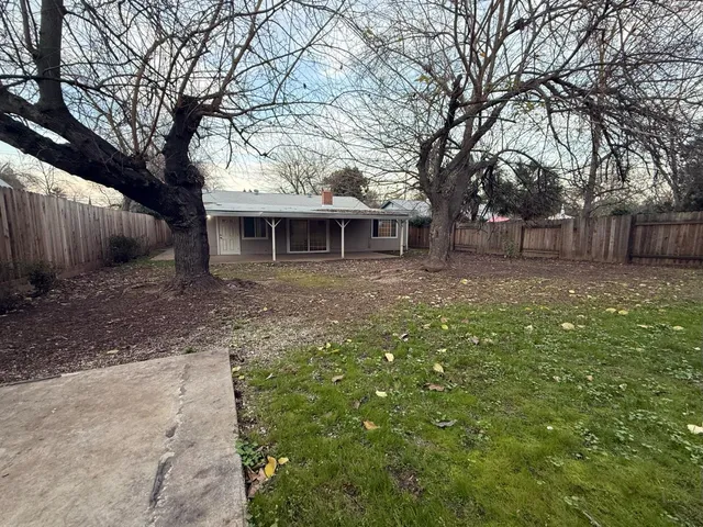 a view of a backyard with a large tree and wooden fence