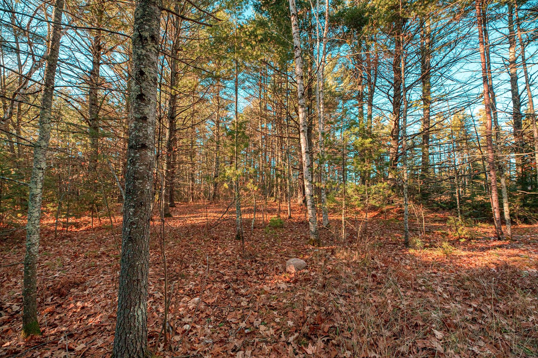 4616 West Sand Lake Road Mercer, WI 54547 - Photo 27 of 28 Gallery Image 27