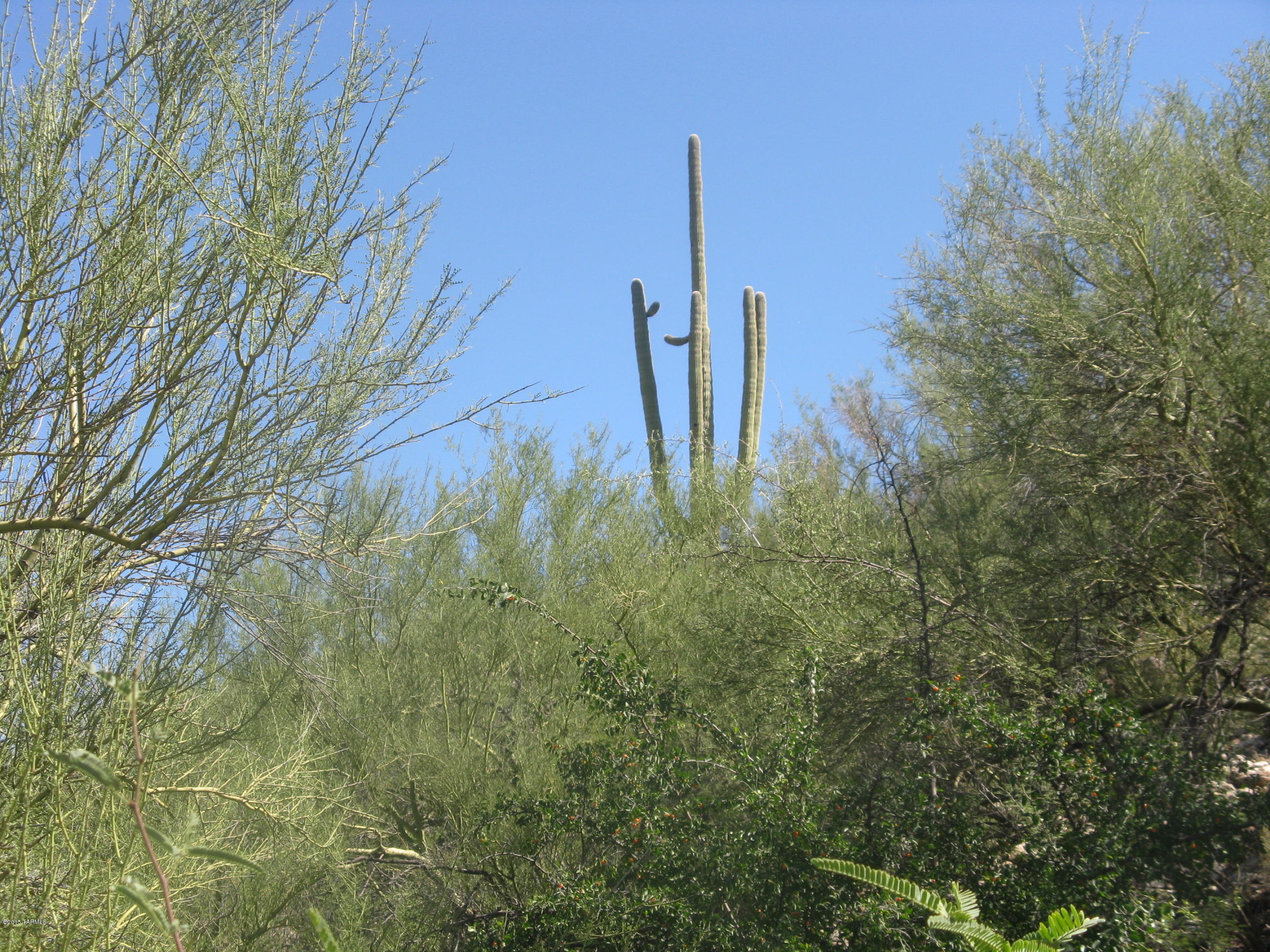 6802 East Snyder Road, Unit 18 Tucson, AZ 85750 - Photo 7 of 7