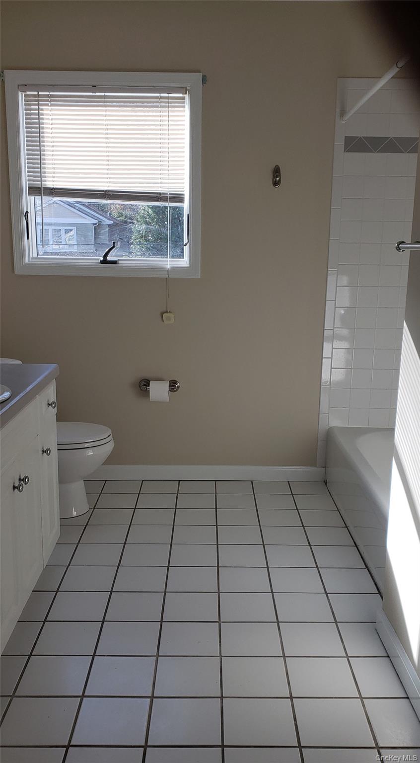 28 Carley Avenue Huntington, NY 11743 - Photo 12 of 17 a bathroom with a sink toilet and window