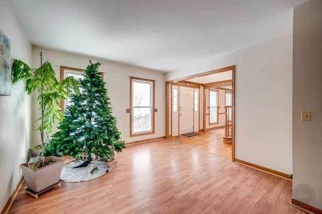 an empty room with wooden floor and potted plant