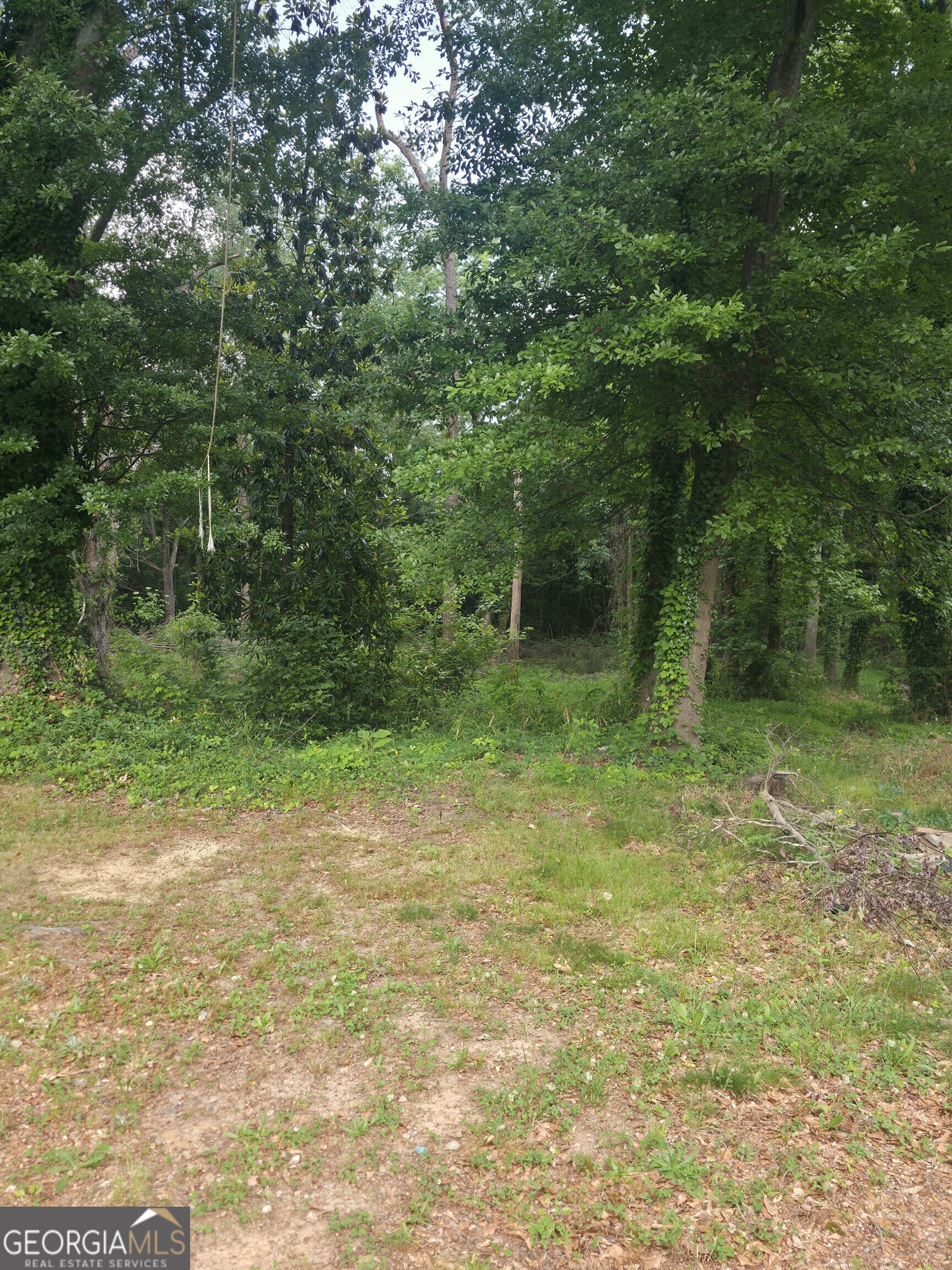 0 Duke Street Winder, GA 30680 - Photo 2 of 3
