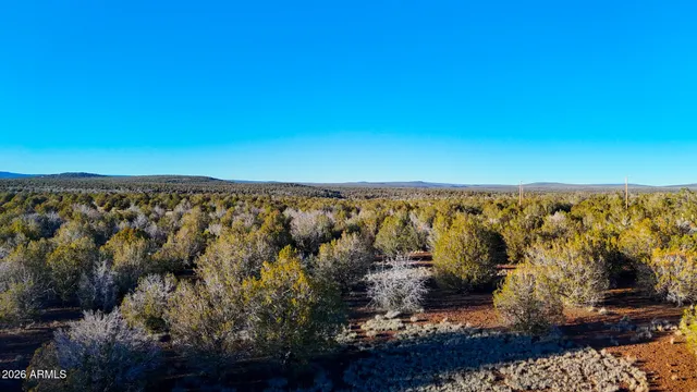 $34,999 | 2408 West Skyline Drive, Unit 58, Williams, AZ 86046