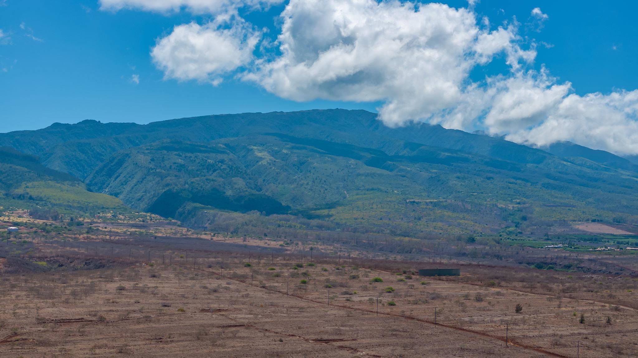3740 Lower Honoapiilani Road, Unit F106 Lahaina, HI 96761 - Photo 28 of 28 a view of a backyard of the house