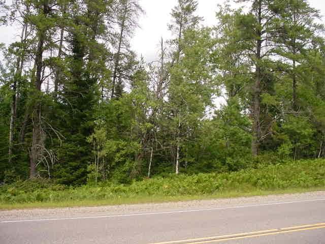 On Dillon Drive Rhinelander, WI 54501 - Photo 3 of 12 Gallery Image 3