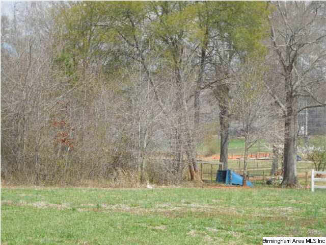 0 Rainbow Ridge Road, Unit 30 ACRES Anniston, AL 36207 - Photo 9 of 12