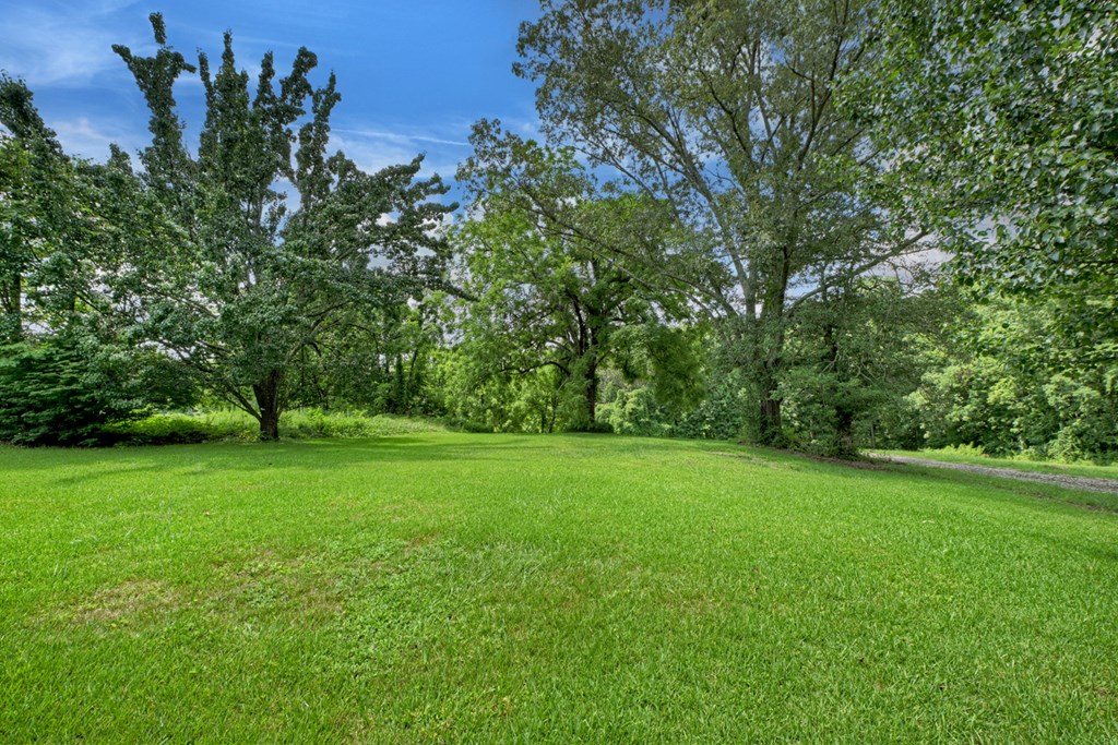 570 Old Highway 5 Blue Ridge, GA 30513 - Photo 13 of 50