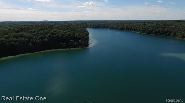 L5 Addaleen Road Highland, MI 48357 - Photo 15 of 15