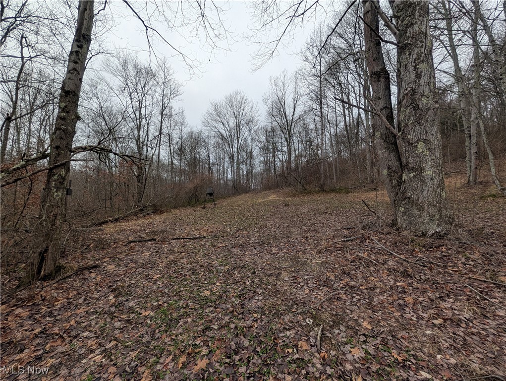 Brown Peavine Road Alledonia, OH 43902 - Photo 24 of 50