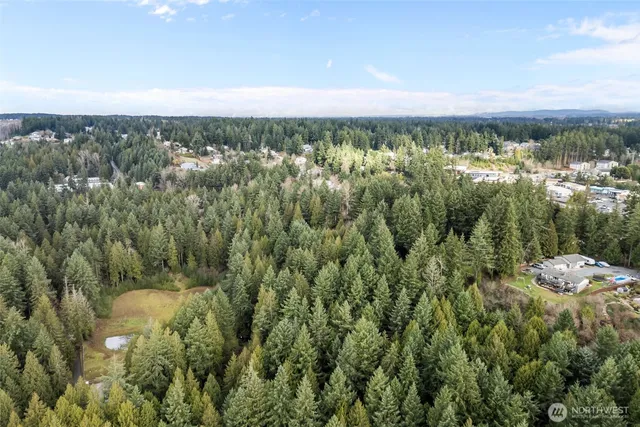 $1,050,000 | 17802 Highway 410, Bonney Lake, WA 98391