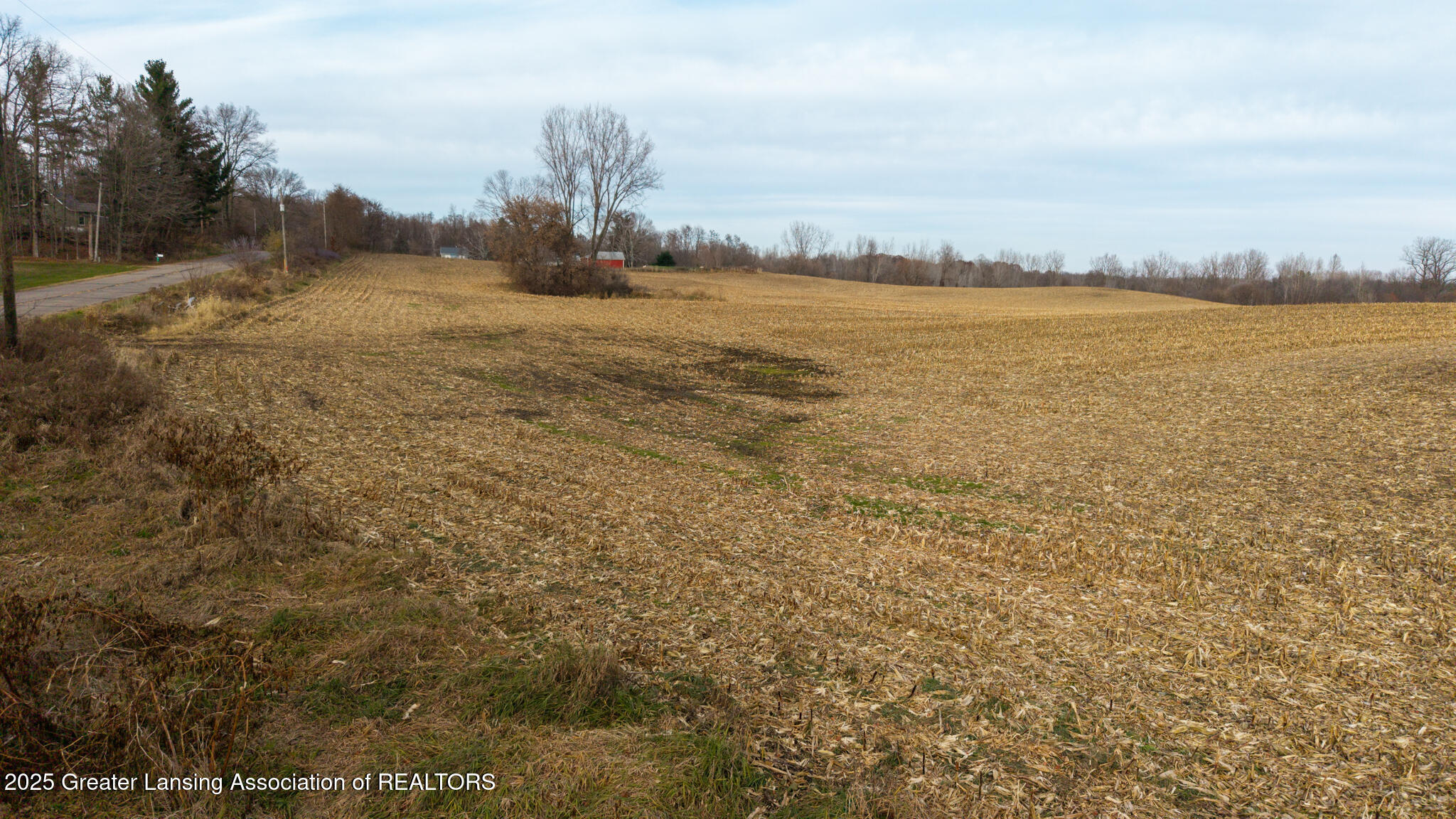 Vl Windsor Highway Dimondale, MI 48821 - Photo 17 of 31 Windsor_Hwy_37_ACRE_BROCK-17