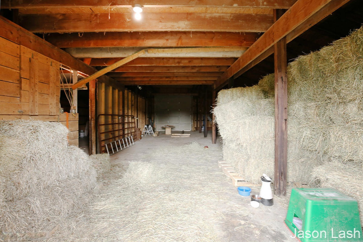 2448 Marquette Road Ionia, MI 48846 - Photo 35 of 40 IMG_6328