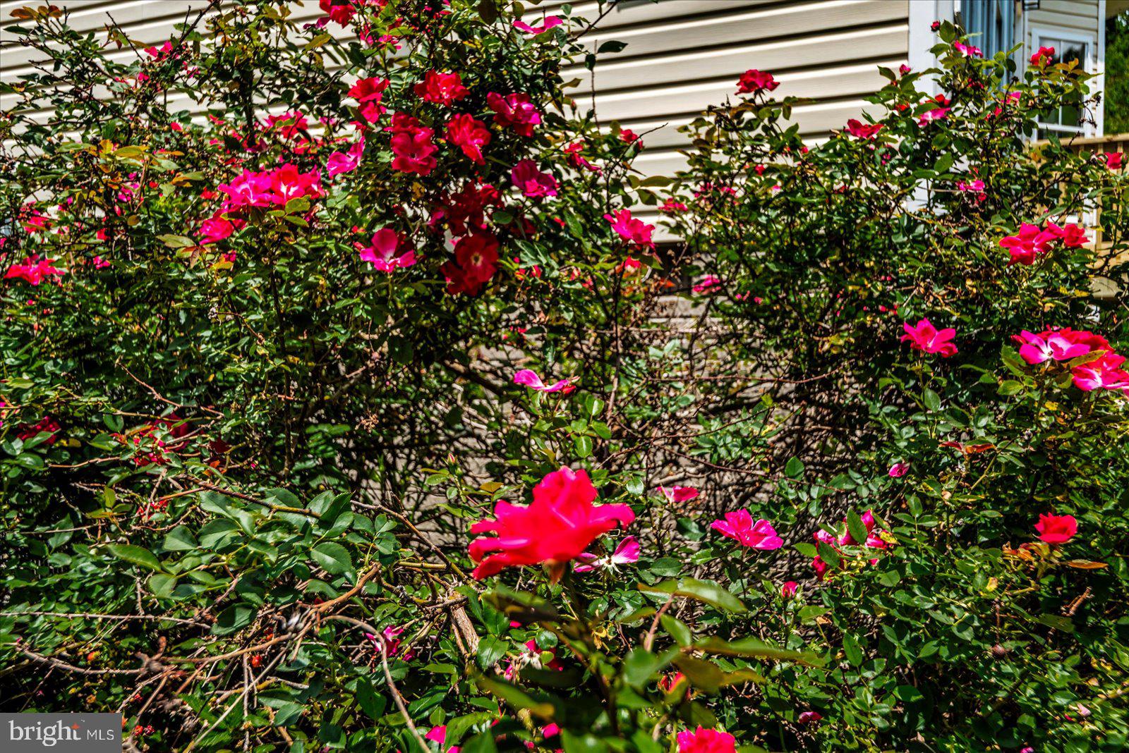 5621 Towles Mill Road Partlow, VA 22534 - Photo 6 of 74