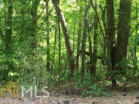 0 Bluegill Road Southwest, Unit LOT 244 Eatonton, GA 31024 - Photo 1 of 1 Gallery Image 1
