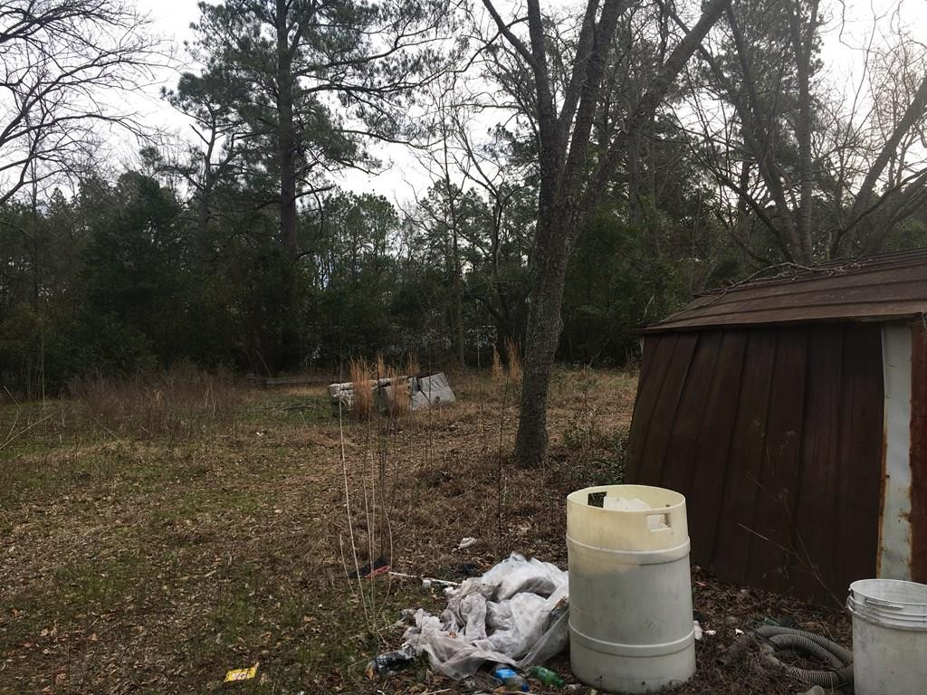 287 Breeze Hill Road Warrenville, SC 29851 - Photo 19 of 21