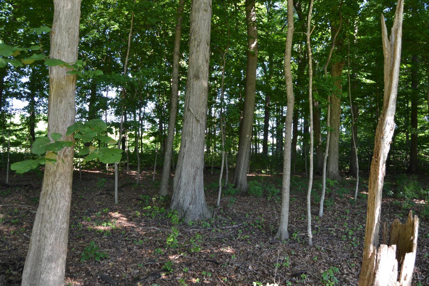Ac Case Road New Richmond, OH 45157 - Photo 13 of 19