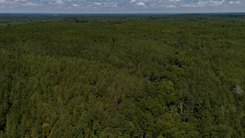 0 Highway 221 S Waterloo Sc 29384 Waterloo, SC 29384 - Photo 13 of 14