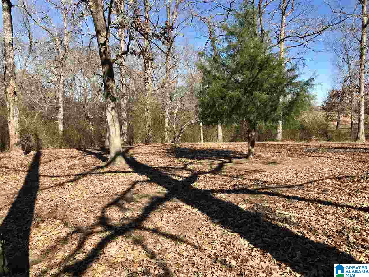 3209 Corner Road Empire, AL 35063 - Photo 43 of 43
