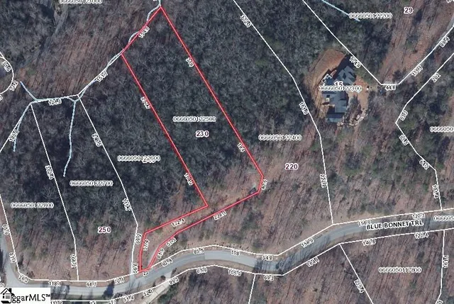 $849,000 | 230 Blue Bonnet Trail, Marietta, SC 29661