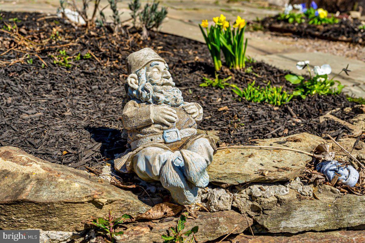 1060 Arnoldtown Road Middletown, MD 21769 - Photo 11 of 69 Tranquility abounds