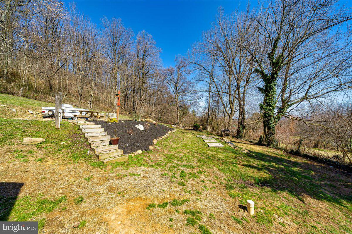 1060 Arnoldtown Road Middletown, MD 21769 - Photo 48 of 69 View of picnic area from below