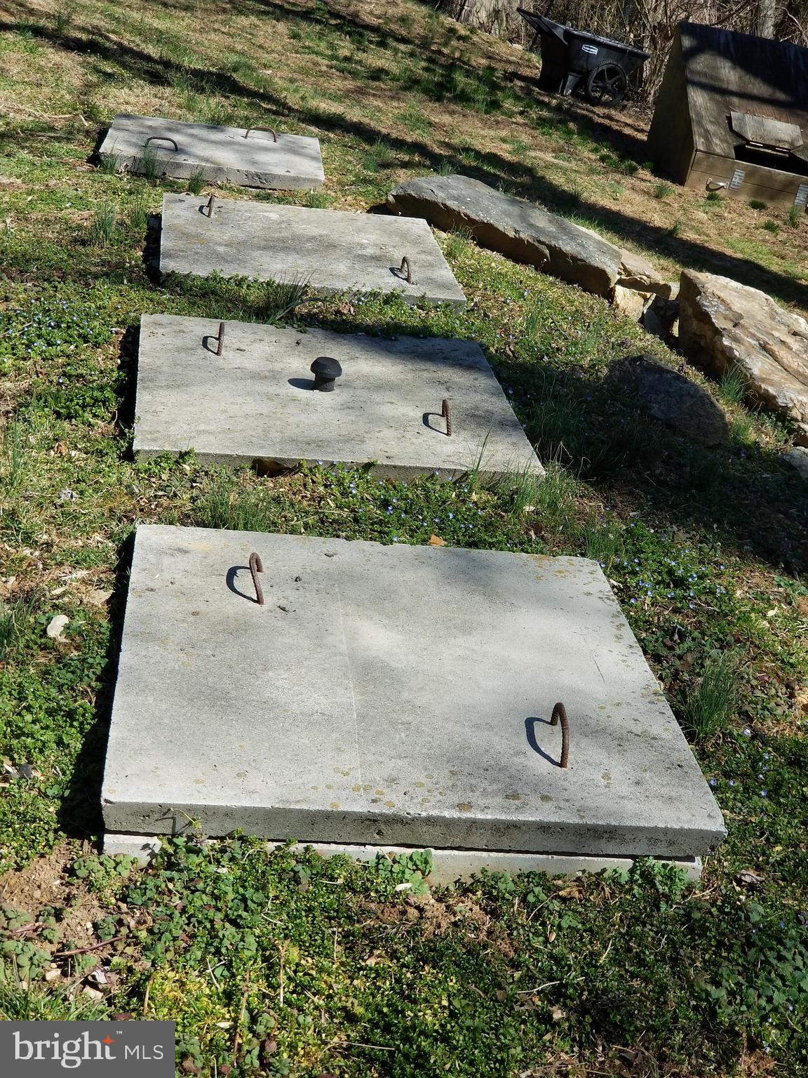 1060 Arnoldtown Road Middletown, MD 21769 - Photo 53 of 69 State of the art BAT septic system