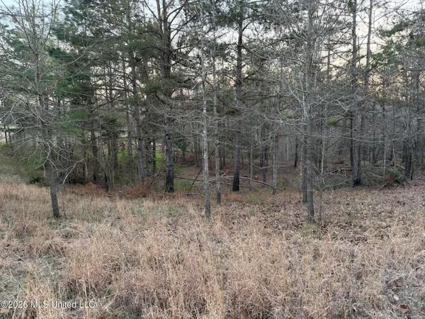 $55,000 | Ford Hill Road, Potts Camp, MS 38659