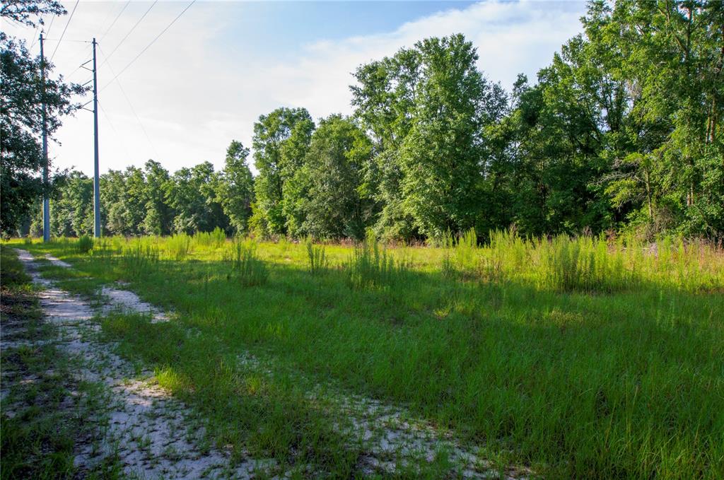 18233 185th Road Live Oak, FL 32060 - Photo 64 of 99