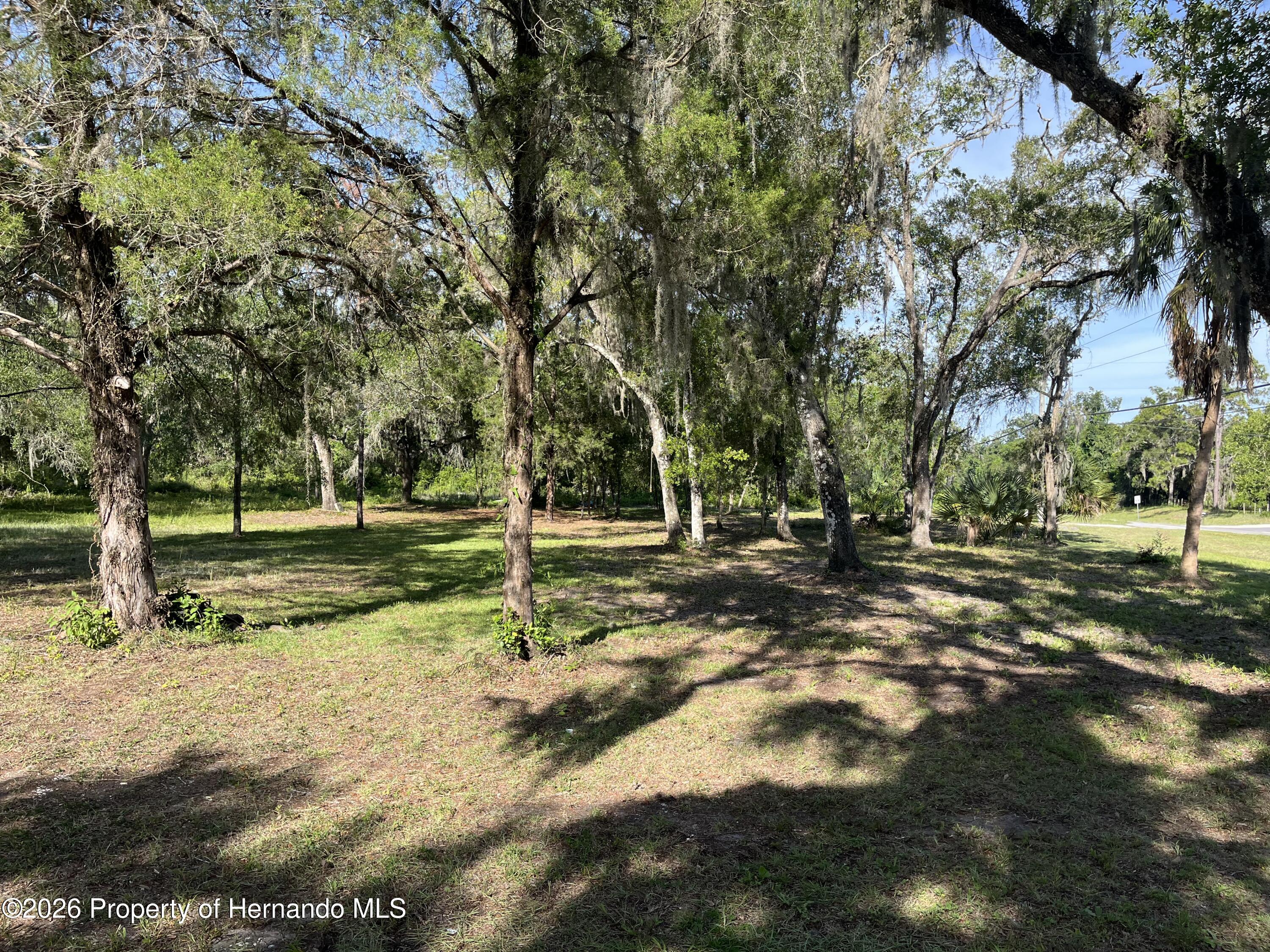 16305 Wiscon Road Brooksville, FL 34601 - Photo 3 of 33 Gallery Image 3