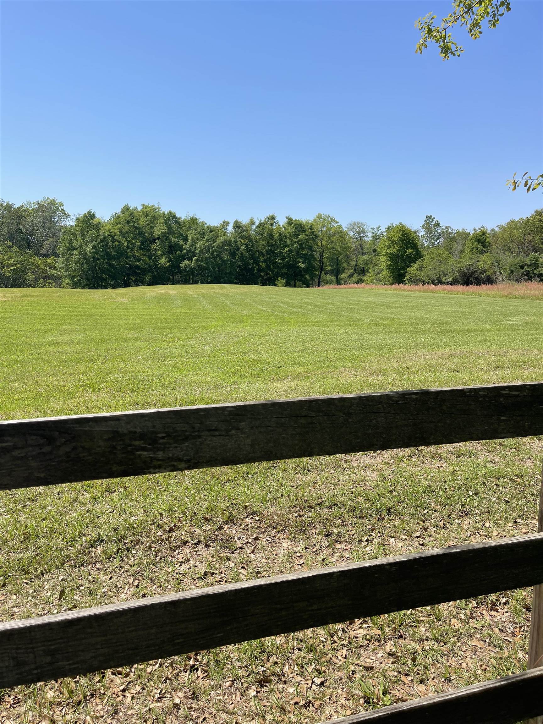 9289 County Road 65 Foley, AL 36535 - Photo 2 of 7 View of land