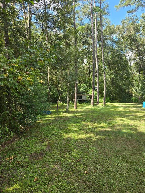 19995 Manecke Road Brooksville, FL 34601 - Photo 25 of 25 Gallery Image 25