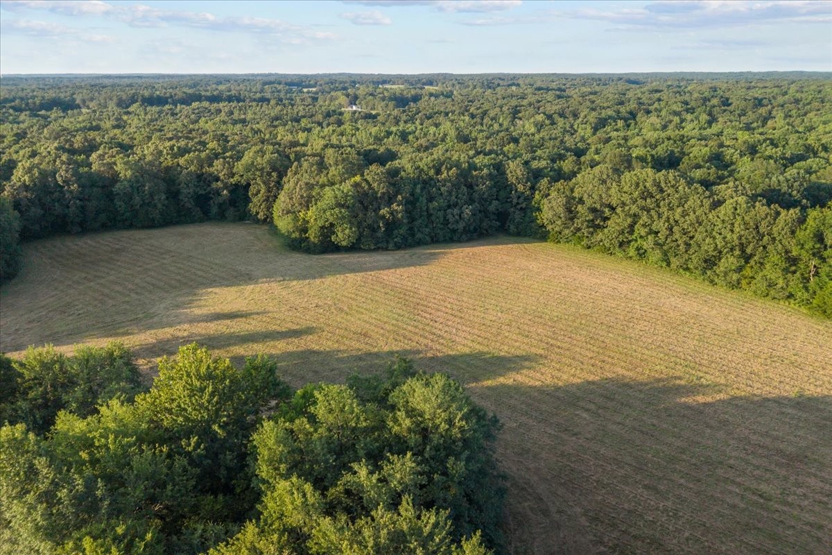 0 Cedar Grove Road Big Sandy, TN 38221 - Photo 10 of 37 Gallery Image 10
