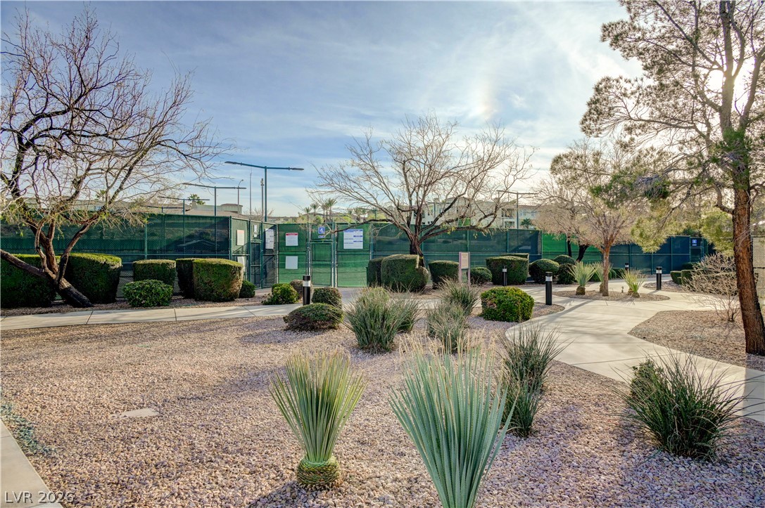 2529 Springville Way Henderson, NV 89052 - Photo 65 of 70 Paved walkways wind through desert landscaping toward the community recreational facilities.
