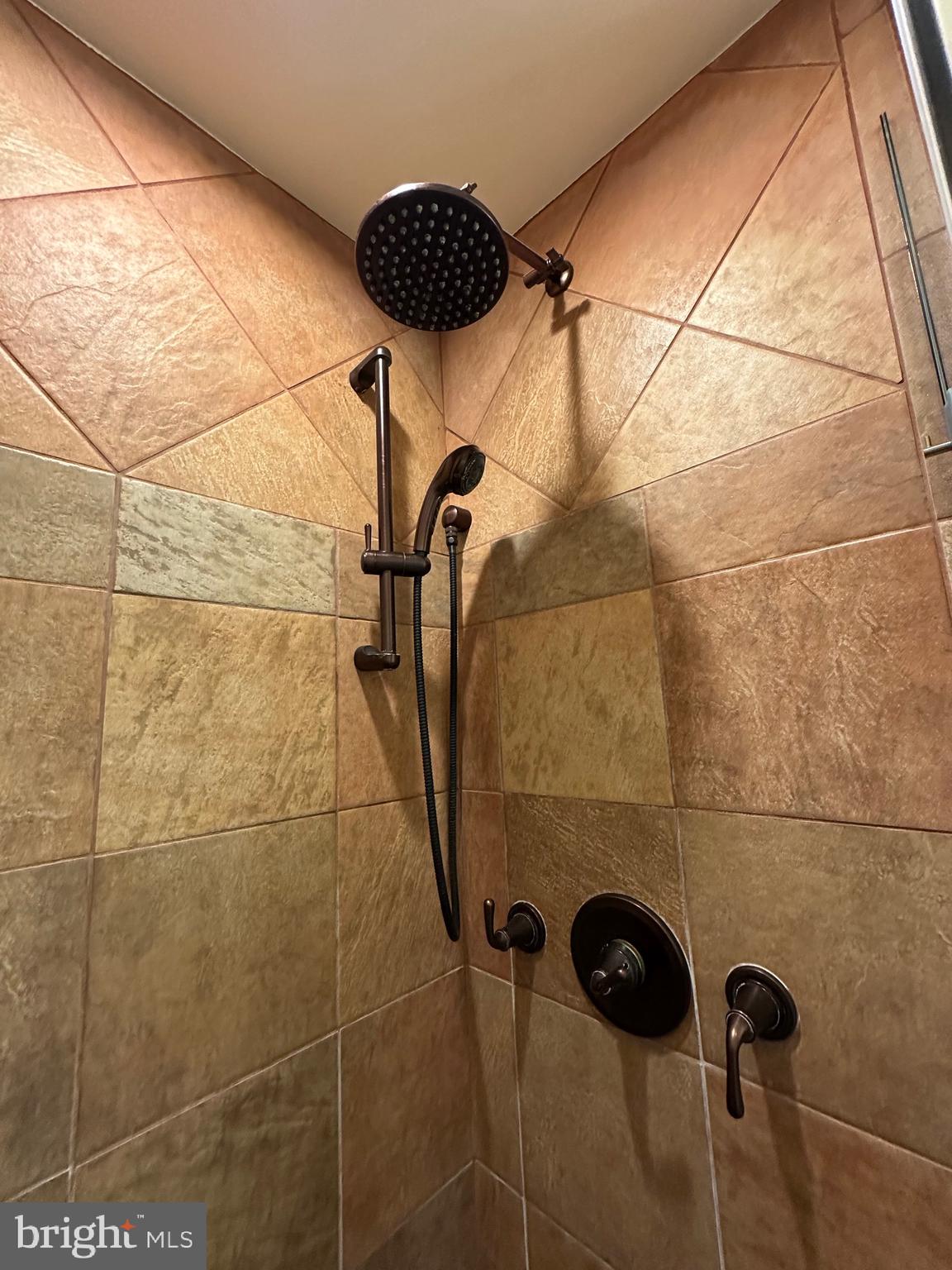 11152 Forest Edge Drive Reston, VA 20190 - Photo 39 of 102 Primary Bath Shower Head