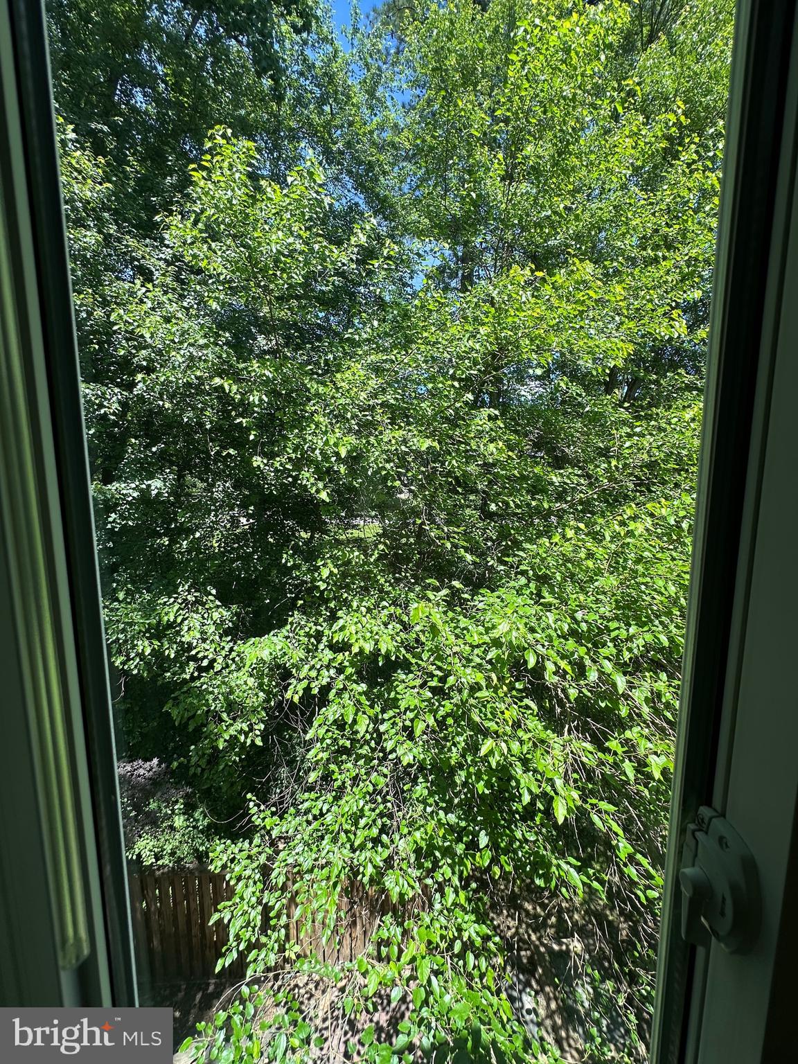 11152 Forest Edge Drive Reston, VA 20190 - Photo 56 of 102 View From Inside