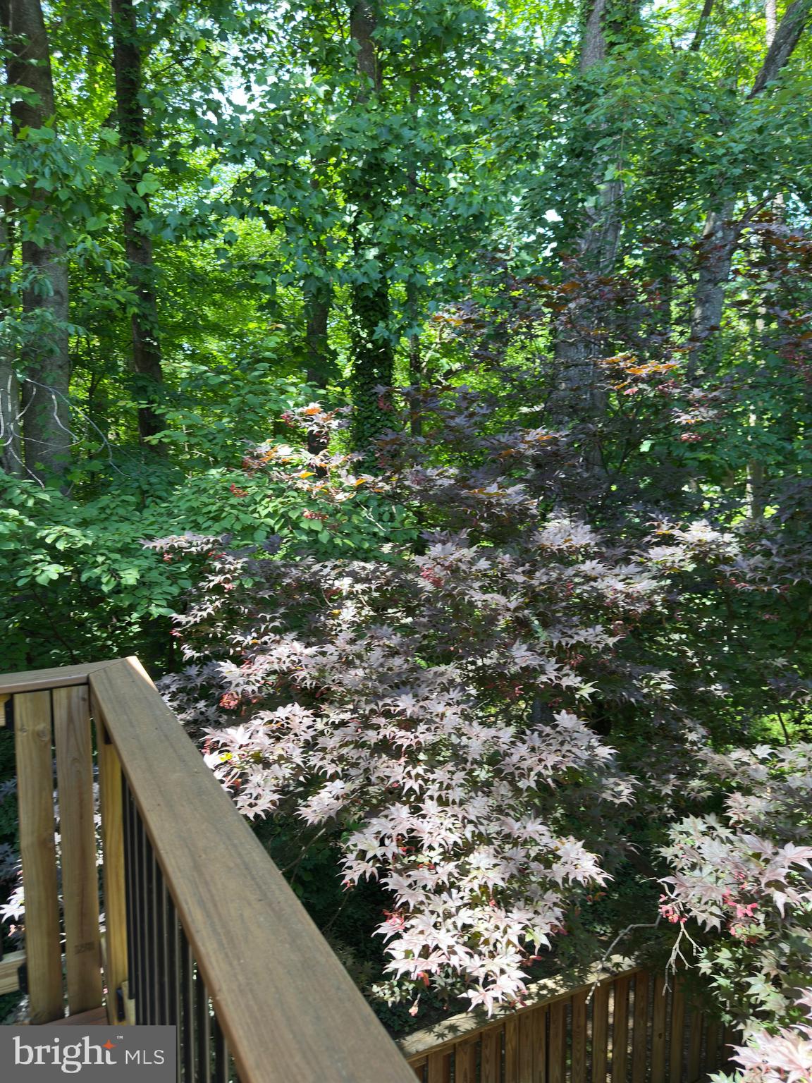 11152 Forest Edge Drive Reston, VA 20190 - Photo 65 of 102 Deck View