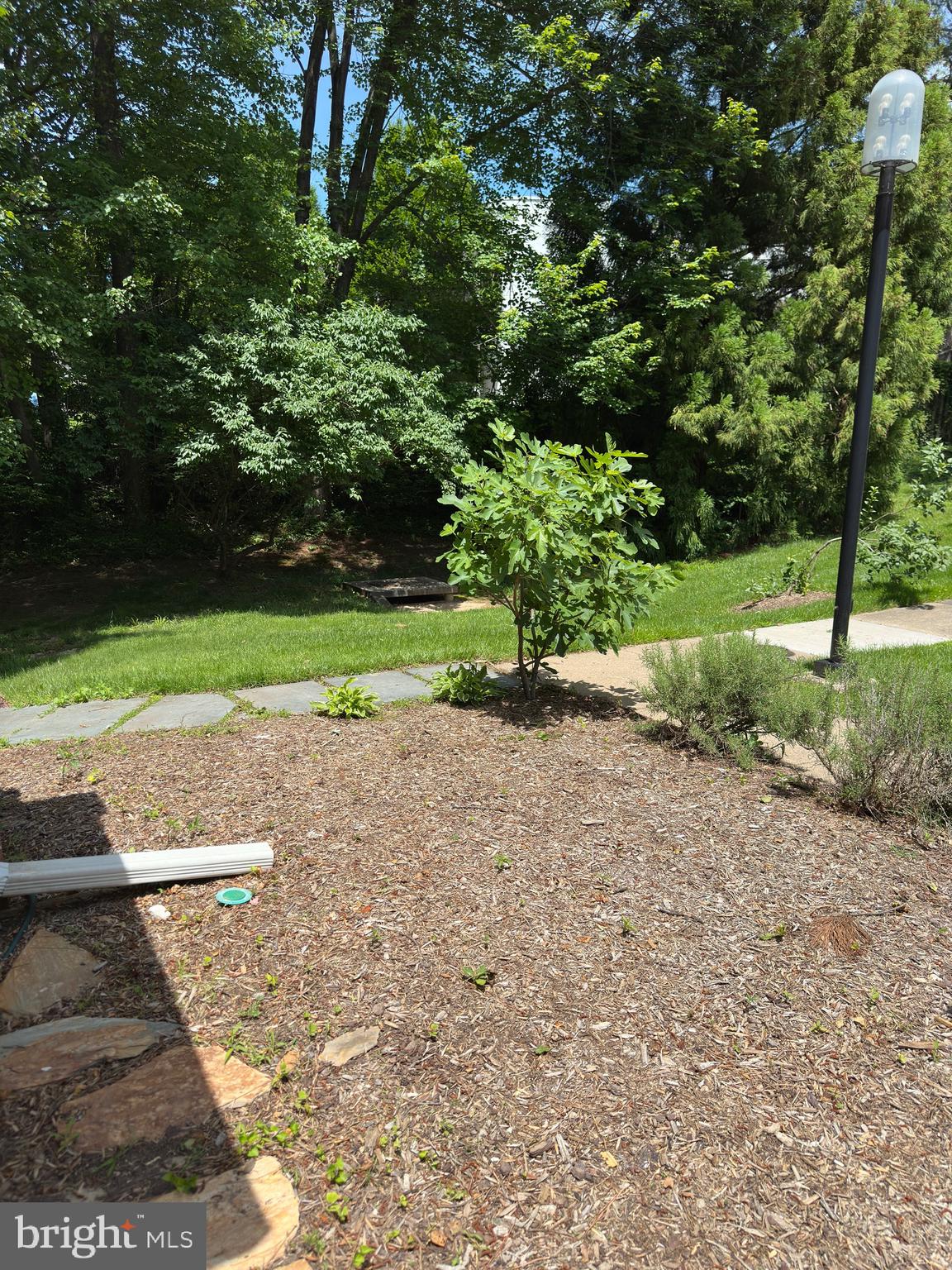 11152 Forest Edge Drive Reston, VA 20190 - Photo 7 of 102 Side Yard