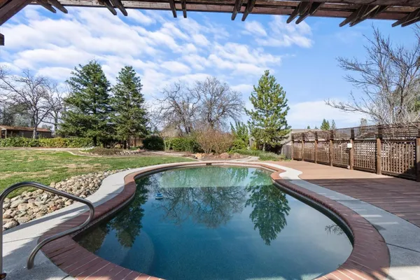 a view of a tree in the backyard of the house
