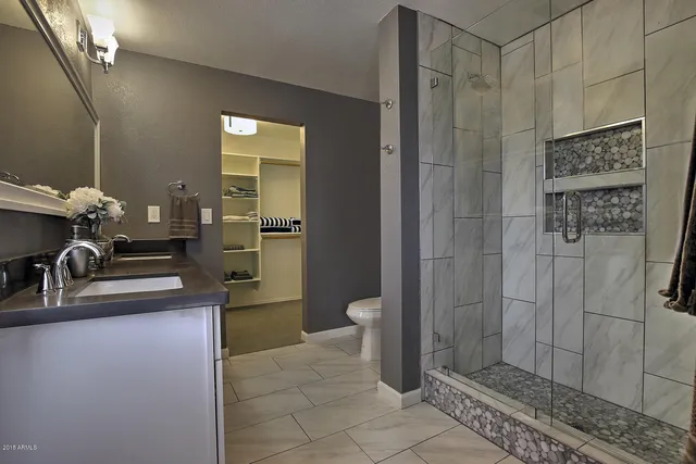 a bathroom with a sink a toilet and shower