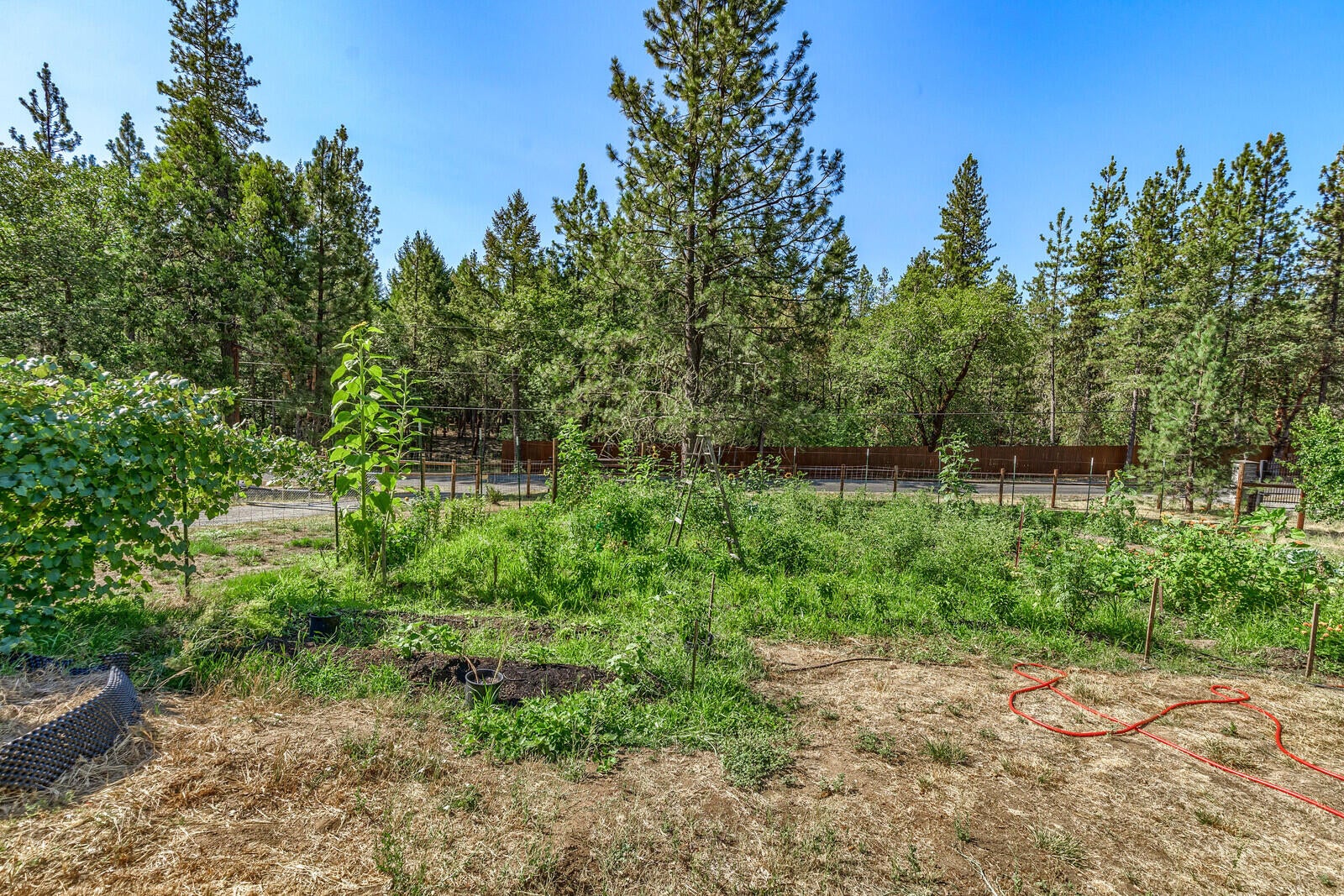 500 Kincaid Road Williams, OR 97544 - Photo 60 of 74 39_KR_39_mls