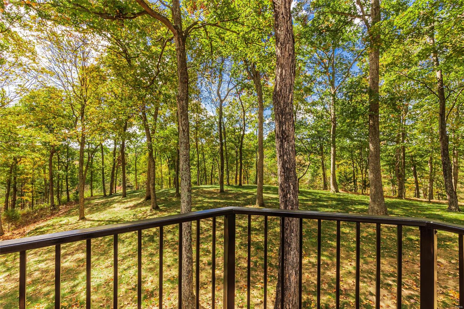 7 Timber Pines Court Defiance, MO 63341 - Photo 56 of 61