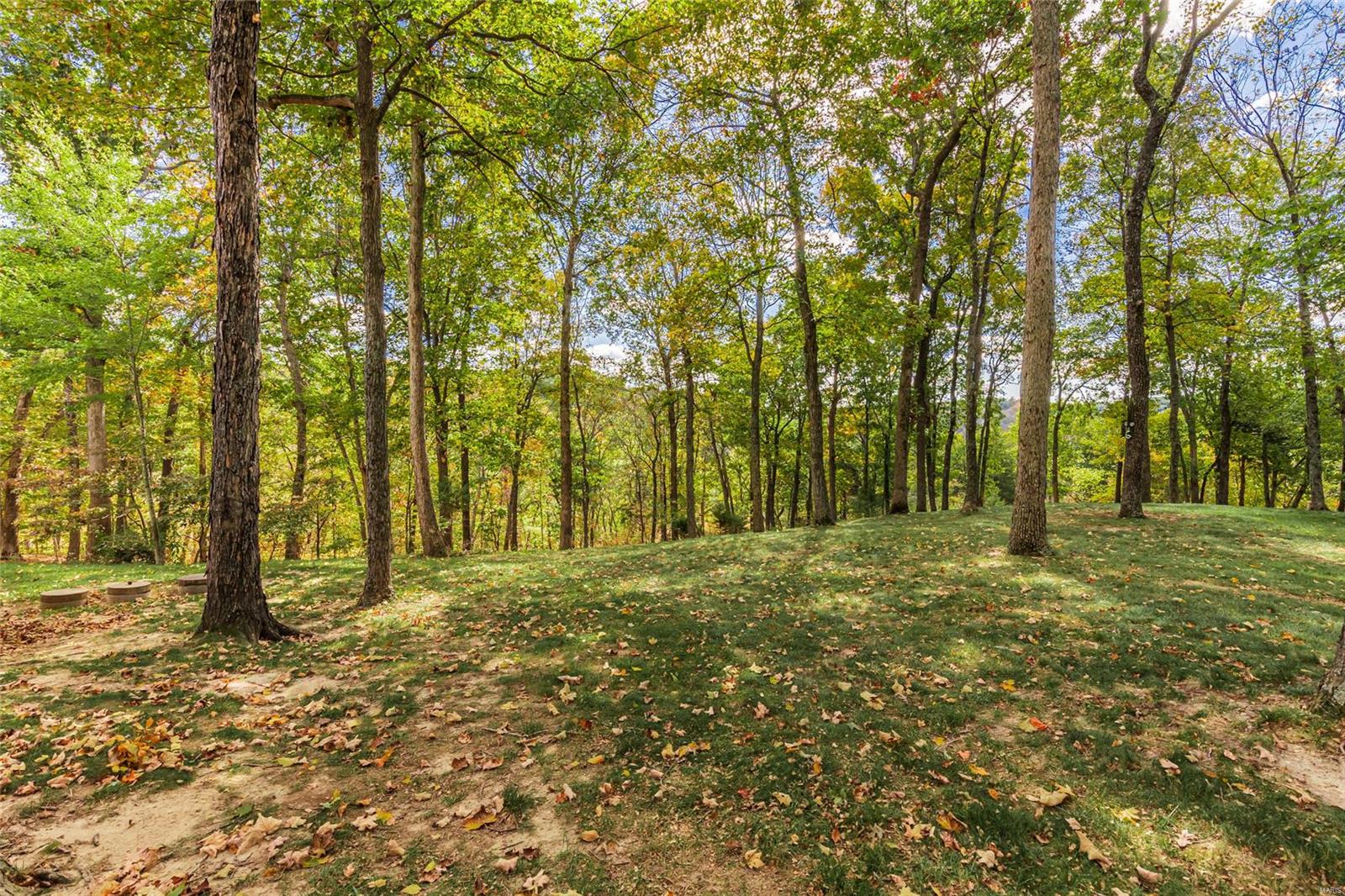 7 Timber Pines Court Defiance, MO 63341 - Photo 61 of 61